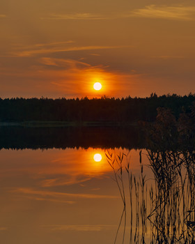 Закат над Материнским озером, Беларусь / Пришлось зайти по колено в воду в камыши)