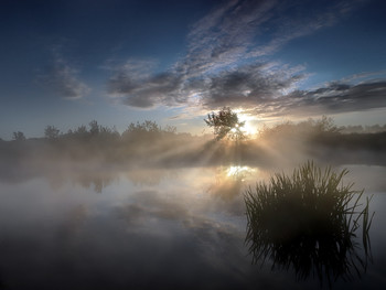 В туманных лучах осеннего рассвета... / ***