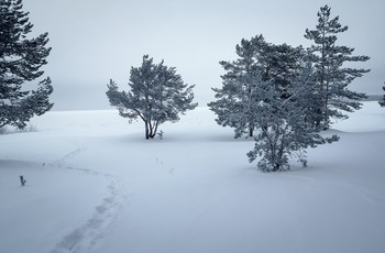 Дороги, которые мы выбираем / Не всегда асфальтовая дорога ведет к цели, выбирай всегда свой путь.