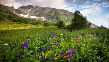 Лето в горах / Абхазия
Зап. Кавказ