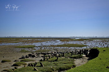 &nbsp; / Landgewinnung in der Nordsee