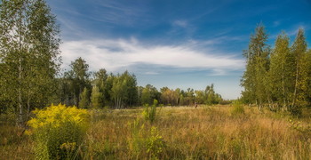 Грибники, как рыцари удачи... / Август грибной.