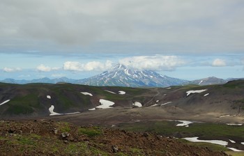 Летнее утро / Камчатка