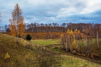 &nbsp; / окрестности п.Новочувашский,Татарстан