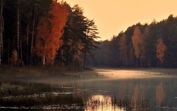 Осенние туманы на озере / Осенние туманы на озере