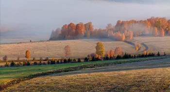 Туманно / ***