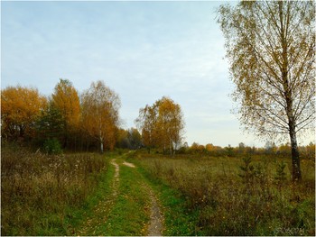 осенняя дорога / ***