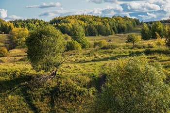 &nbsp; / окрестности п.Введенская слобода,Татарстан