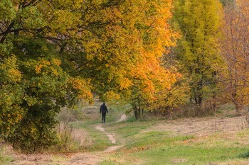 Осень / Москва. Ясенево.
