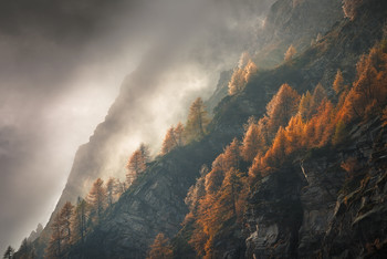 [devero] / Autumn at Devero - Italy