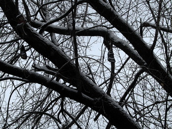 Ветви / 2015-11-06-267-C0-066(80)+C

[img]https://i.imgur.com/P0k6XOk.jpg[/img]