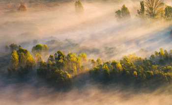 [airuno] / Sun-rays cut through the fog and light yellow foliage.
Airuno - Italy

Panoramic image of 7 vertical shots.