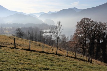 Осенняя соната / Осенняя соната