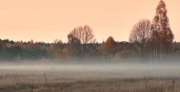 Туманная осенняя завеса / Туманная осенняя завеса