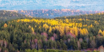 Уральский осенний лес / Южный Урал