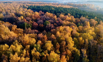 Краски осени / Осень из окна.