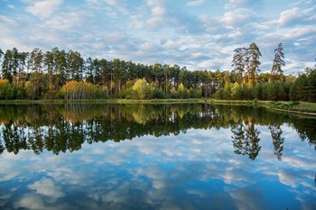 &nbsp; / озеро Светлое лебяжье,Татарстан