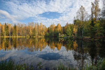 осеннее отражение / ***