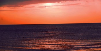 Над морскими просторами / Одинокая чайка на закате:Только море, только небо...