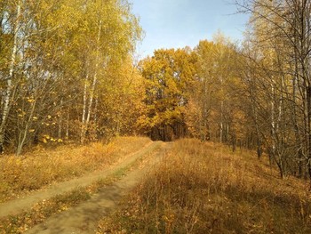 дороги осени / ...