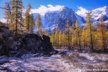 Первый снег и золотая осень на Алтае / Северо-Чуйский хребет — горный хребет в Алтайских горах.
