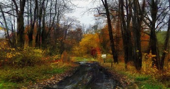 Октябрь в Александровском парке / С.Петербург, Царское Село, Александровский парк (обработка в Dynamic Auto-Painter Pro 6)