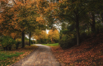 ОСЕНЬ / в городе