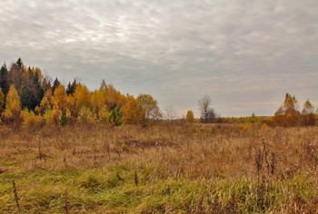 Осеннее настроение / ***