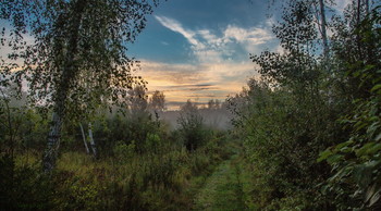 Туманы августа особенно грустны... / Рассвет.