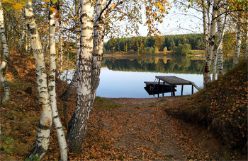 Рондо / Октября тональность