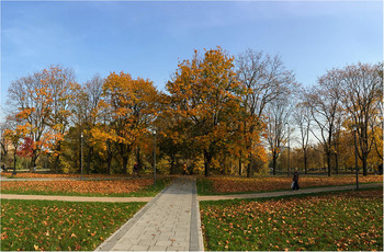 осень / парк