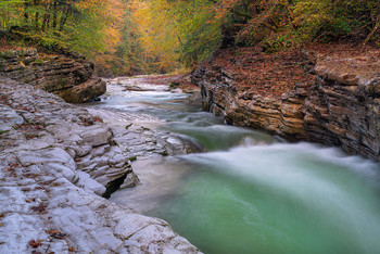 &nbsp; / Herbstfarben in der Taugl