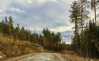 дорожная фоточка / Средний Урал, октябрь 2020 года