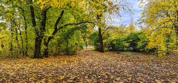 Все краски осени / Карелия, Петрозаводск