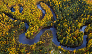 Все краски осени / Югра