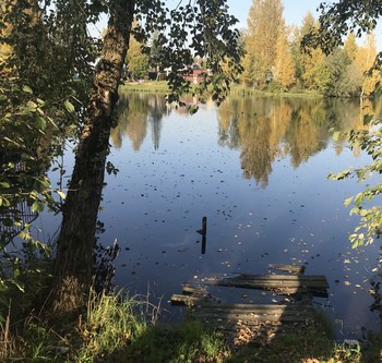 Все краски осени / Пруд в Вартемягах.