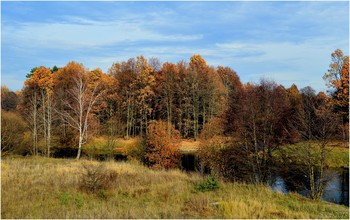 Все краски осени / ***