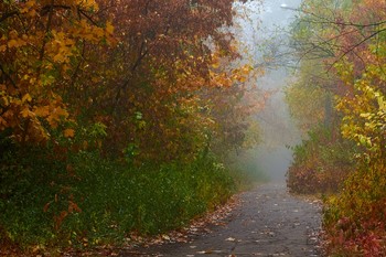 Все краски осени / тропинка в парке