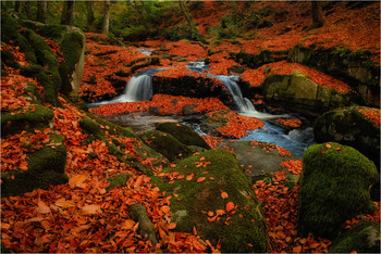 Все краски осени / Cloughleagh Creeks