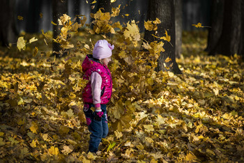 Все краски осени / Осенние листья в парке у Северного речного вокзала.