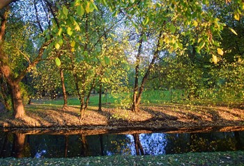 Все краски осени / Санкт-Петербург, парк Екатерингоф