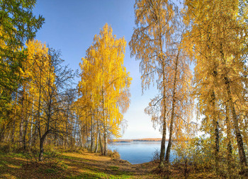 У озера / Октябрь на Урале