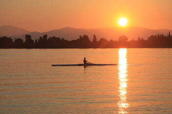По утренней прохладе... / Фотофиниш!....