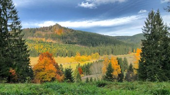 Посмотреть на осень свысока / Осенняя палитра