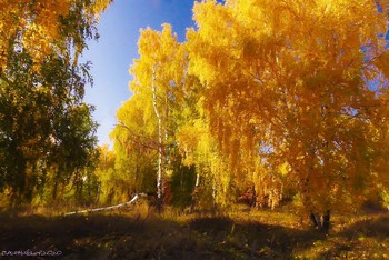 Осенние краски / ...