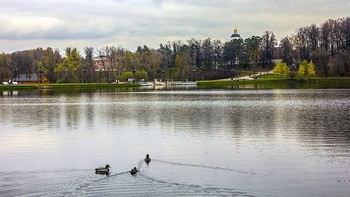 ОСЕНЬ / в Царицыно