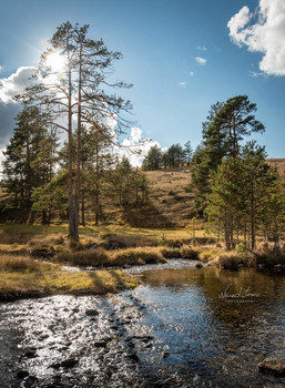 &nbsp; / Autumn on Zlatibor mountain captured with Nikon D5600 and 18-105mm lens.