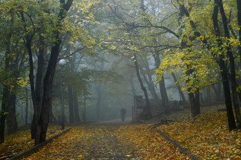 В парке осеннем...... / Железноводск. Октябрь