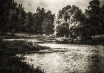 Утро. Парк. Сентябрь. / С.Петербург. Павловск. Мариенталь. Ч/б пленка. Монокль.