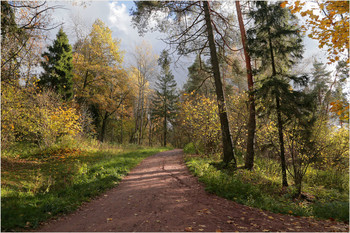 &nbsp; / Осень